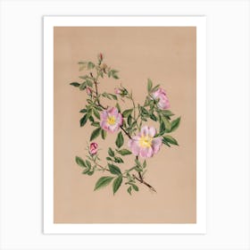 Roses 18 Art Print