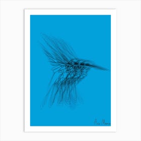 Colibri005 Art Print