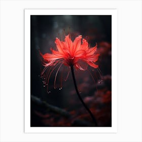 Red Flower Art Print