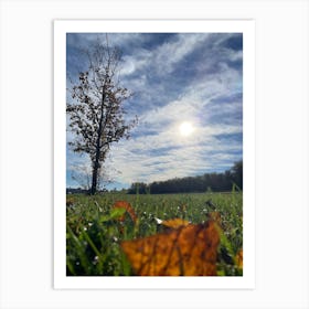 Autumn Leaves On A Grassy Field Art Print