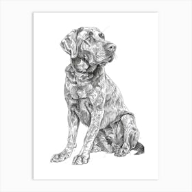 Chesapeake Bay Retriever Sketch 4 Art Print