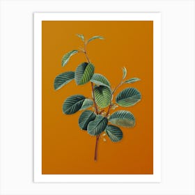 Vintage Alpine Buckthorn Plant Botanical on Sunset Orange n.0330 Art Print