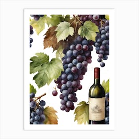 Vines,Black Grapes And Wine Bottles Painting (30) Art Print