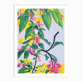 Himalayan Honeysuckle Eclectic Boho Plant Art Print