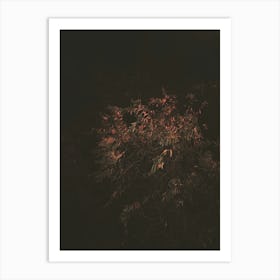 Illuminated Lone Tree on a Quiet Night in Hoxton, London Art Print