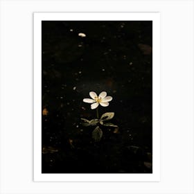 Single Flower In Water 26 Art Print