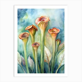 Carnivorous Flowers Art Print