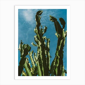 Cactus Sky II Art Print