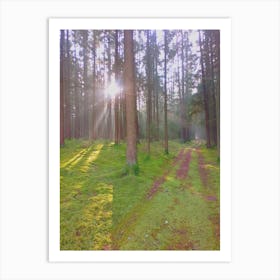 Sunrise lights with trees Art Print