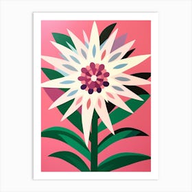 Cut Out Style Flower Art Edelweiss 2 Art Print