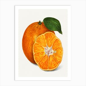 Oranges 1 Art Print