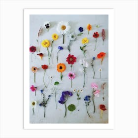 Floral Art Art Print