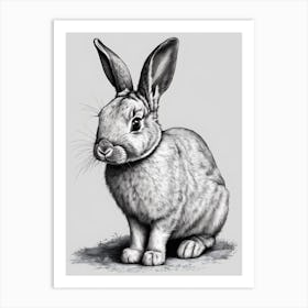 Rabbit Art Print