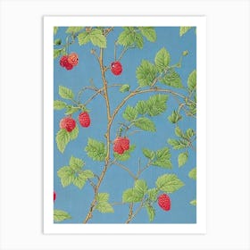 Raspberry Vintage Botanical Fruit Art Print