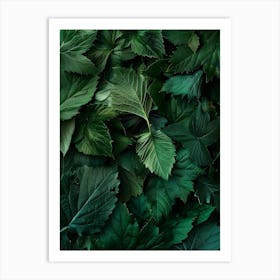 Green Leaves Background 1 Art Print