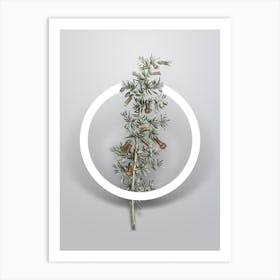 Vintage Kraal Honey Thorn Minimalist Floral Geometric Circle on Soft Gray n.0036 Art Print