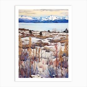 Nahuel Huapi National Park Argentina 2 Art Print