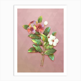 Vintage Periwinkle Botanical Art on Crystal Rose n.0646 Art Print