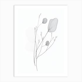 Eucalyptus Art Print