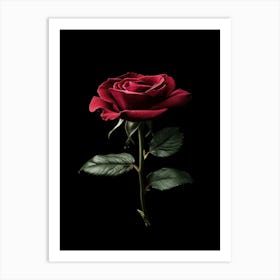 Red Rose On Black Background 64 Art Print