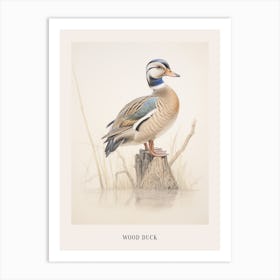 Vintage Bird Drawing Wood Duck 1 Poster Art Print
