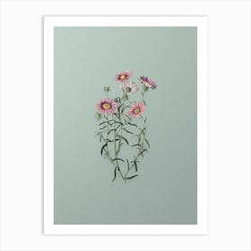 Vintage Hoary Diplopappus Flower Botanical Art on Mint Green n.0377 Art Print