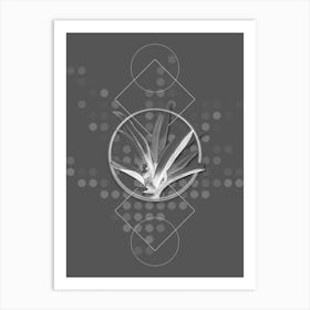 Vintage Boat Lily Botanical with Line Motif and Dot Pattern in Ghost Gray n.0104 Art Print