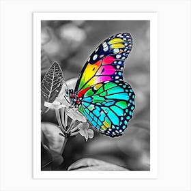 Colorful Butterfly Art Print