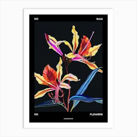 No Rain No Flowers Poster Kangaroo Paw 4 Art Print