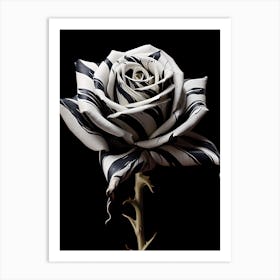 Black And White Rose 1 Art Print