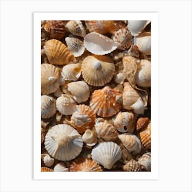 Shells On The Beach 1 Art Print