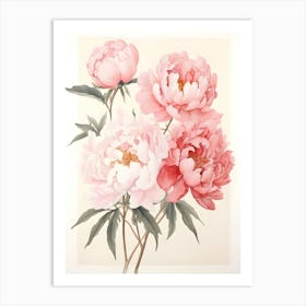 Pink Peonies 5 Art Print