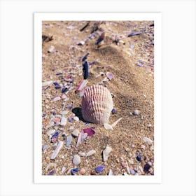 Seashell On The Beach Art Print