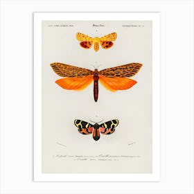 Moths Art Print