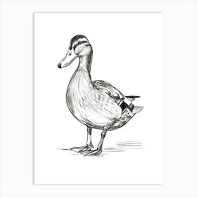 B&W Mallard Duck Art Print