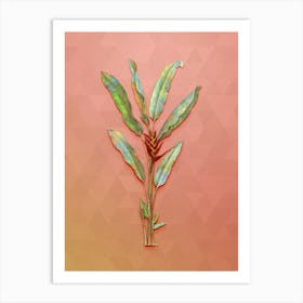 Vintage Parrot Heliconia Botanical Art on Peach Pink n.0839 Art Print