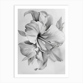 Hibiscus Flower 3 Art Print