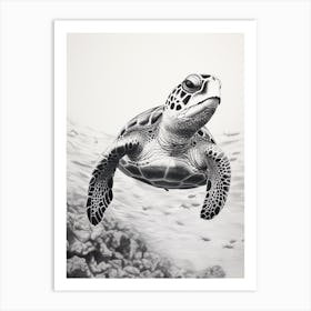 Detailed Black And White Sea Turtle Illustration Art Print