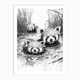 Red Panda Family Swimming Ink Illustration A River Ink Illustration 4 Art Print