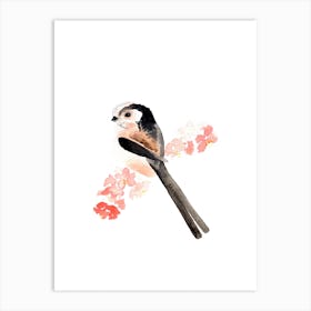 Long Tailed Tit And Pink Blossom Art Print