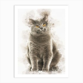 Mixed Breed Cat Art Print