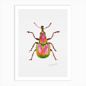 Rhynchites auratus, apricot weevil, watercolor artwork Art Print
