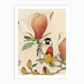 Sparrow On Blooming Magnolia Branch (1900 1930), Ohara Koson Art Print