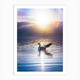 Male Goose Striking An Elegant Rowing Posture Dances Across Tranquil Waters Of A Lake Dazzling Wit Art Print