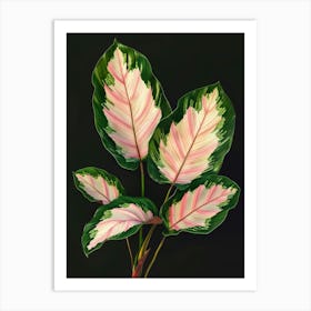 Pink Hibiscus Art Print