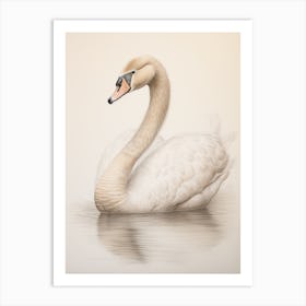 Vintage Bird Drawing Swan 3 Art Print