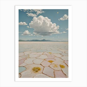 Salt Flats Art Print