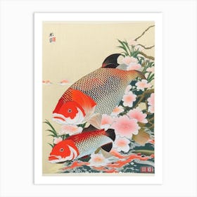 Tancho Koi Fish 1, Ukiyo E Style Japanese Art Print