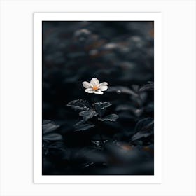 Dark Flower 34 Art Print