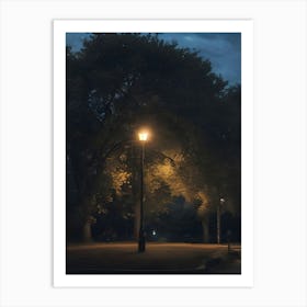 Night In The Park Art Print